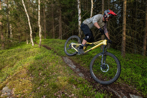 Silvini men's shorts MP1805 Fabriano