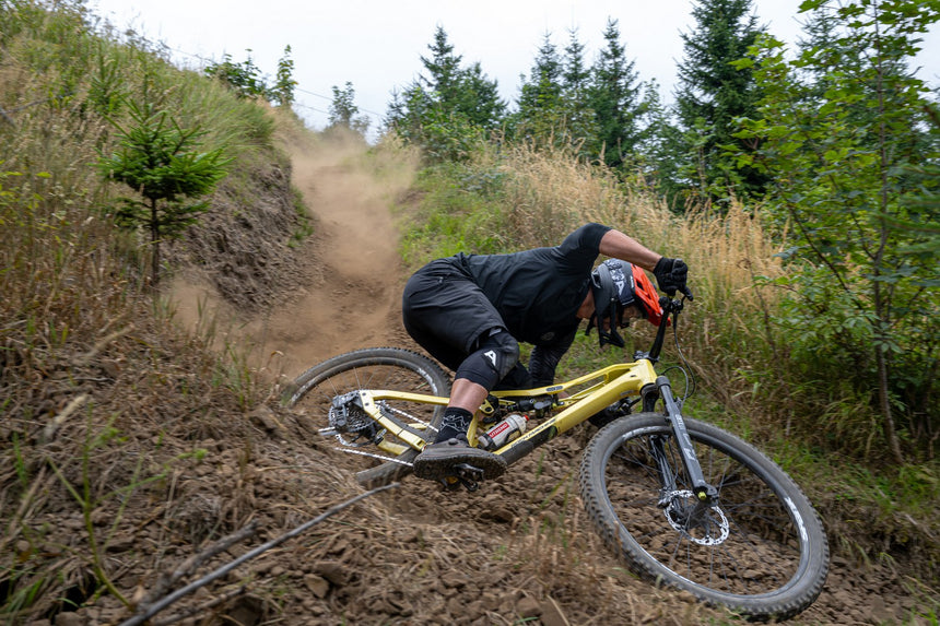 Silvini men's shorts MP1805 Fabriano