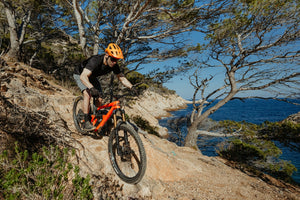 Silvini men's jersey MD2017 Gallo